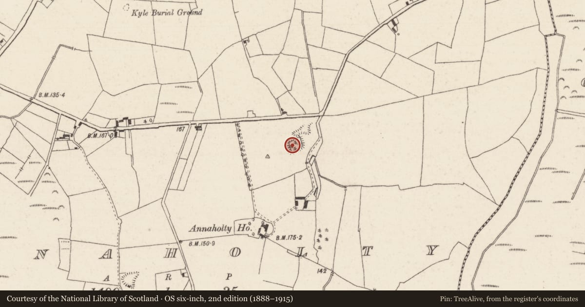 Ordnance Survey six-inch map, 2nd edition (1888–1915) covering the location of Moated site, Annaholty, County Tipperary North, with a pin at the register's coordinates