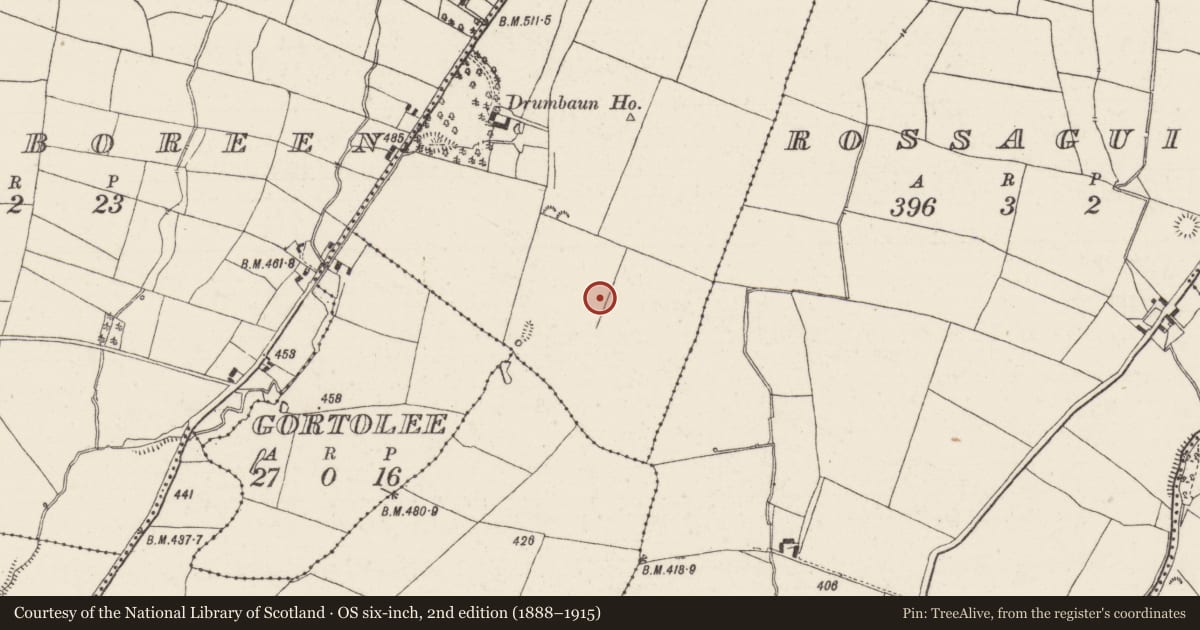 Ordnance Survey six-inch map, 2nd edition (1888–1915) covering the location of Earthwork, Drumbaun (Killoscully Par.), County Tipperary North, with a pin at the register's coordinates