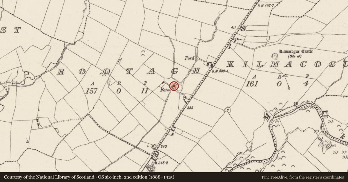 Ordnance Survey six-inch map, 2nd edition (1888–1915) covering the location of Ringfort - rath, Rootagh, County Tipperary North, with a pin at the register's coordinates