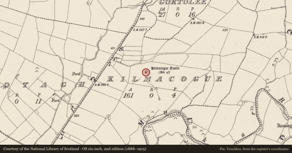 Ordnance Survey six-inch map, 2nd edition (1888–1915) covering the location of Castle - unclassified, Kilmacogue, County Tipperary North, with a pin at the register's coordinates
