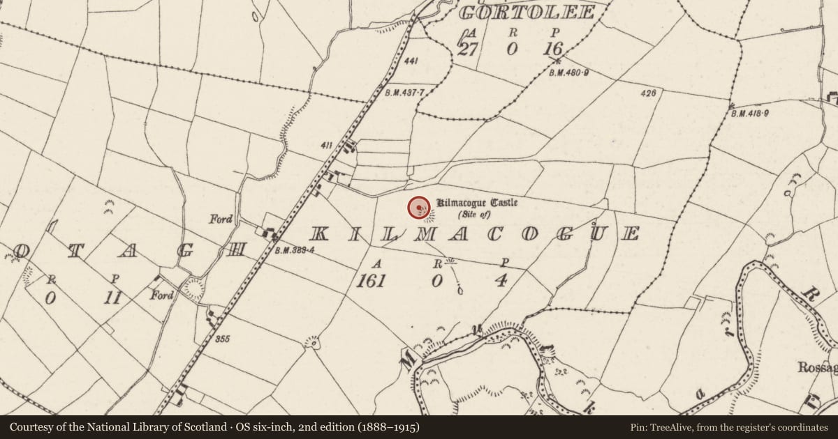 Ordnance Survey six-inch map, 2nd edition (1888–1915) covering the location of Castle - ringwork, Kilmacogue, County Tipperary North, with a pin at the register's coordinates