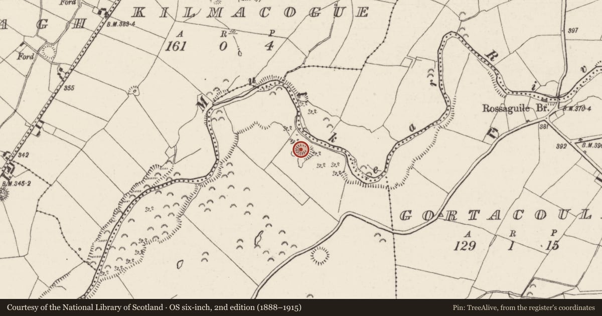 Ordnance Survey six-inch map, 2nd edition (1888–1915) covering the location of Cliff-edge fort, Newross, County Tipperary North, with a pin at the register's coordinates