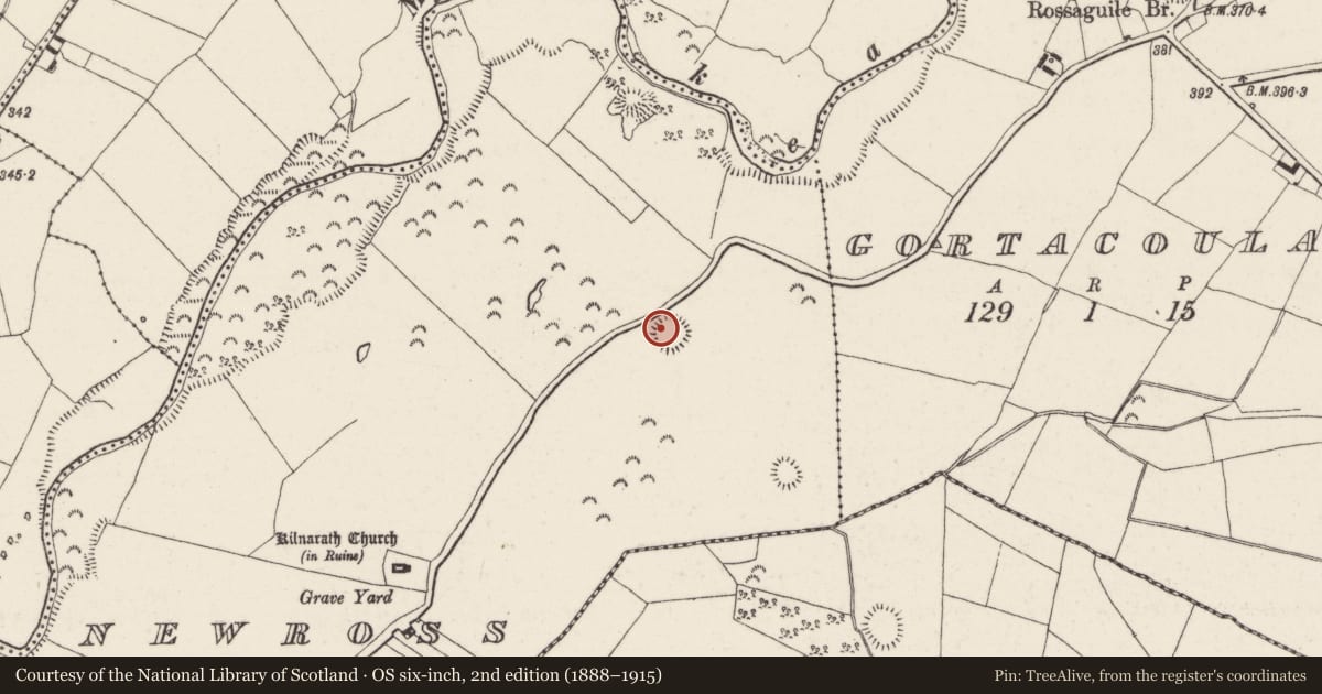 Ordnance Survey six-inch map, 2nd edition (1888–1915) covering the location of Ringfort - rath, Newross, County Tipperary North, with a pin at the register's coordinates