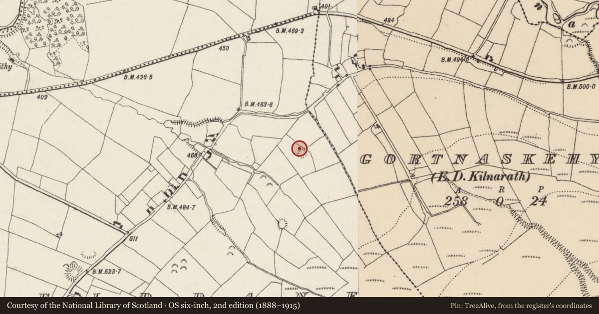 Ordnance Survey six-inch map, 2nd edition (1888–1915) covering the location of Enclosure, Fiddane, County Tipperary North, with a pin at the register's coordinates