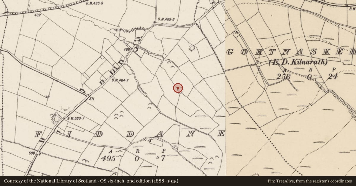 Ordnance Survey six-inch map, 2nd edition (1888–1915) covering the location of Ringfort - rath, Fiddane, County Tipperary North, with a pin at the register's coordinates