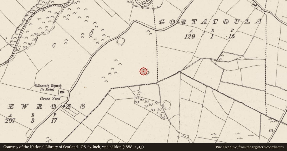 Ordnance Survey six-inch map, 2nd edition (1888–1915) covering the location of Ringfort - rath, Newross, County Tipperary North, with a pin at the register's coordinates