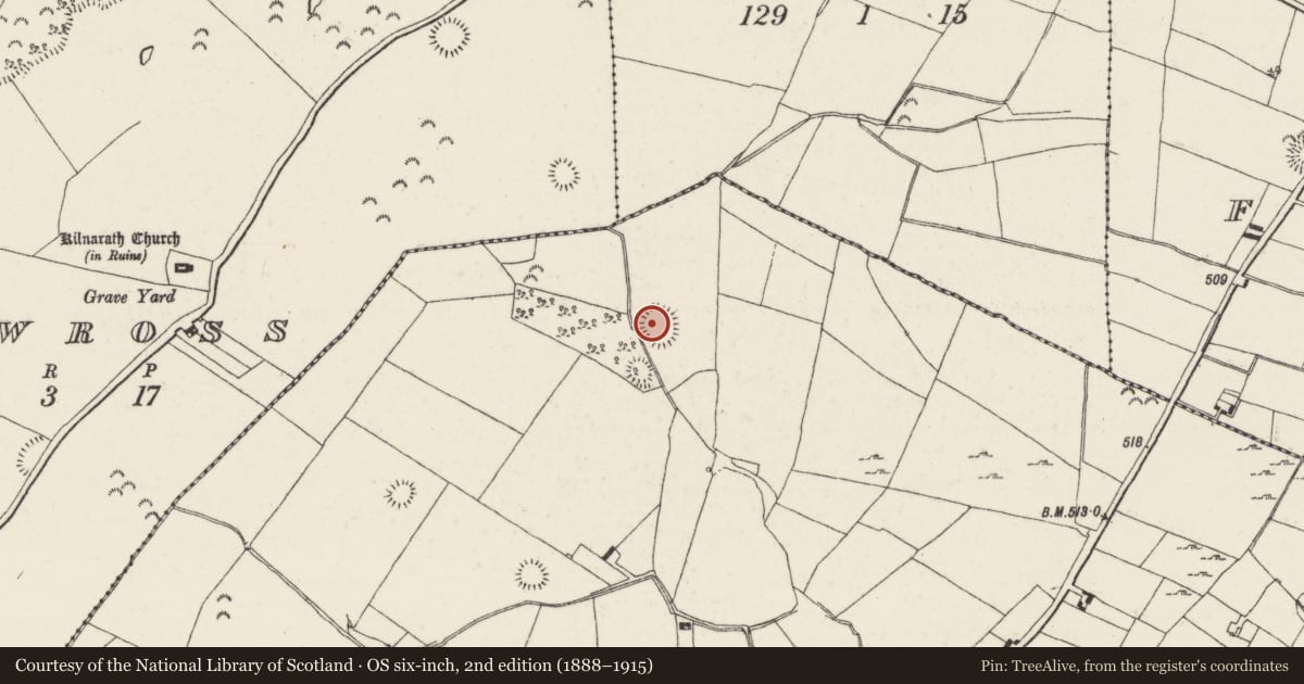 Ordnance Survey six-inch map, 2nd edition (1888–1915) covering the location of Ringfort - rath, Castlewaller, County Tipperary North, with a pin at the register's coordinates