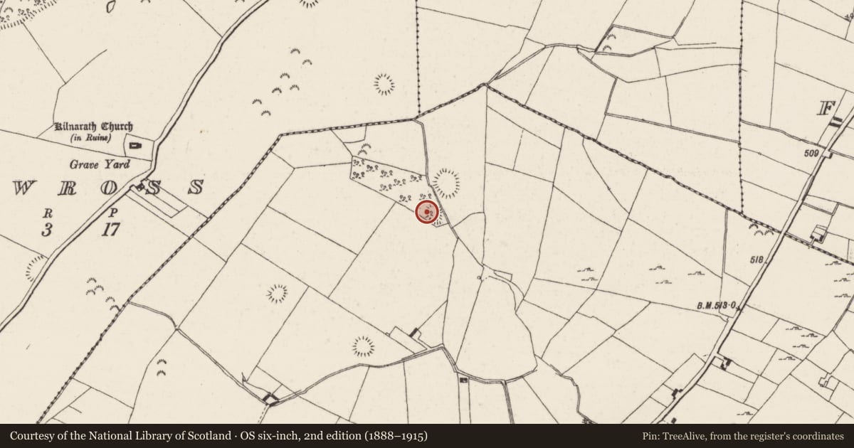 Ordnance Survey six-inch map, 2nd edition (1888–1915) covering the location of Ringfort - rath, Castlewaller, County Tipperary North, with a pin at the register's coordinates
