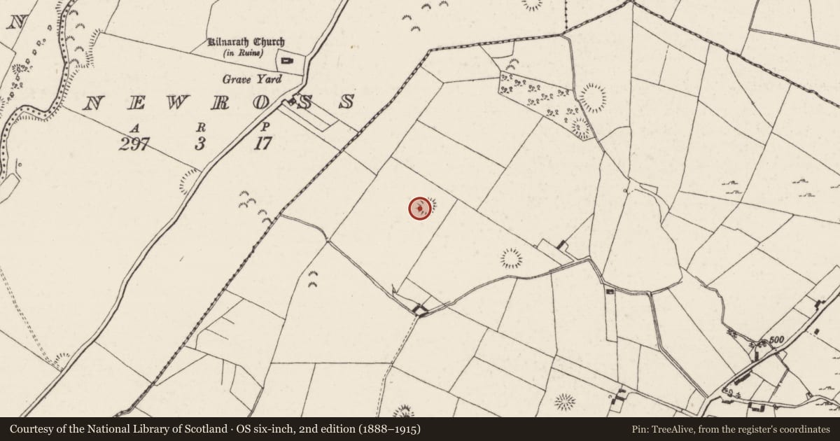 Ordnance Survey six-inch map, 2nd edition (1888–1915) covering the location of Ringfort - rath, Castlewaller, County Tipperary North, with a pin at the register's coordinates