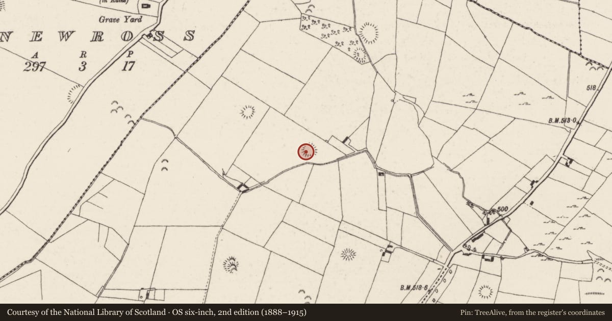 Ordnance Survey six-inch map, 2nd edition (1888–1915) covering the location of Ringfort - rath, Castlewaller, County Tipperary North, with a pin at the register's coordinates