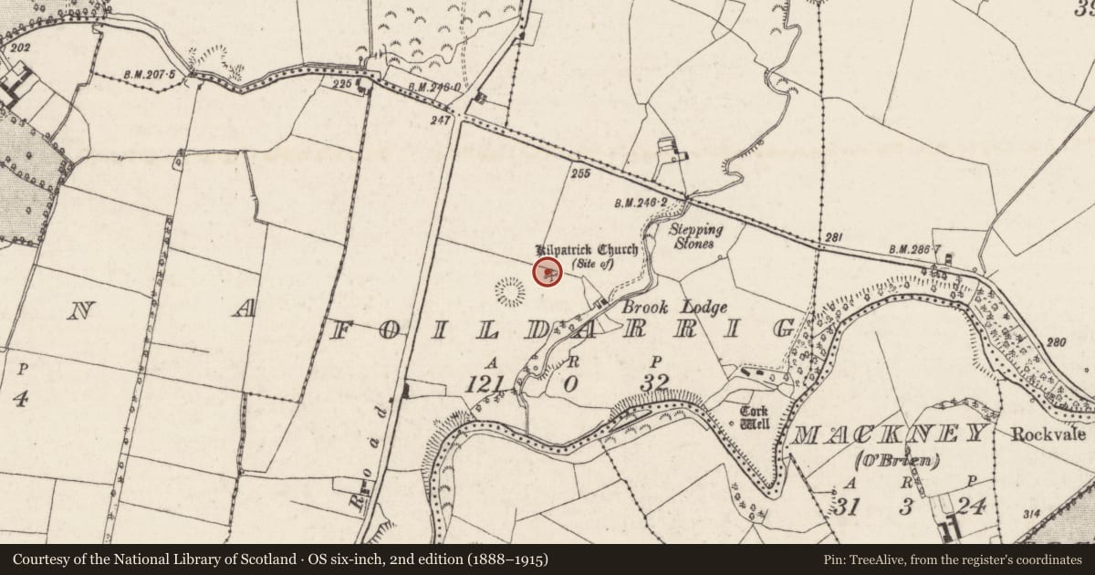 Ordnance Survey six-inch map, 2nd edition (1888–1915) covering the location of Children's burial ground, Foildarrig, County Tipperary North, with a pin at the register's coordinates