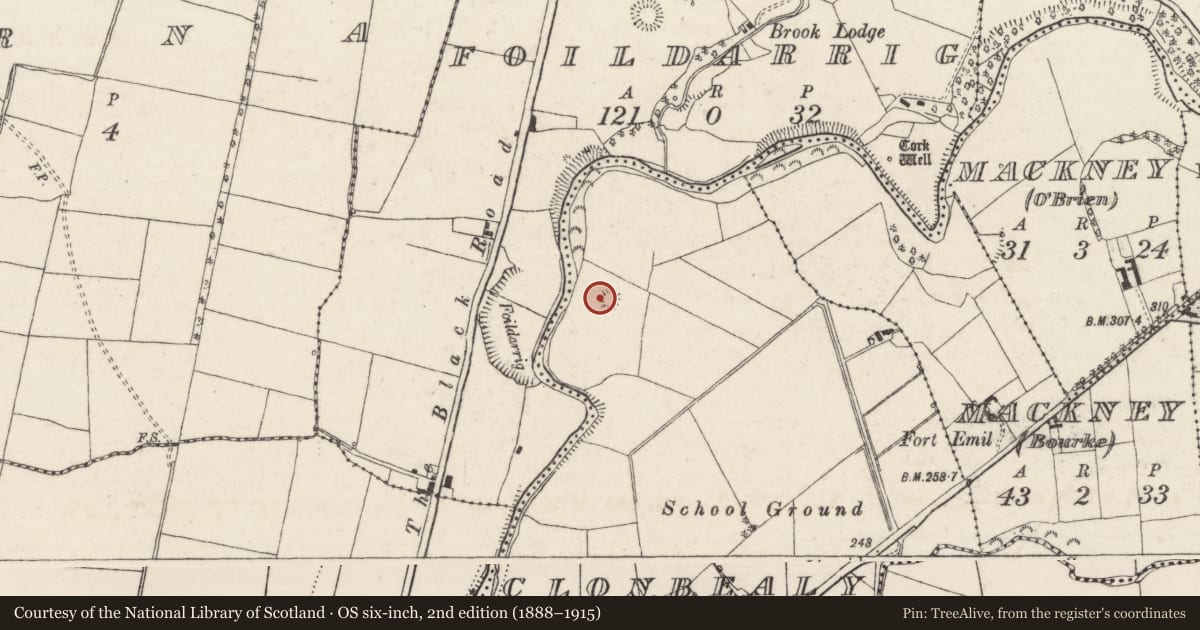 Ordnance Survey six-inch map, 2nd edition (1888–1915) covering the location of Earthwork, Clonbealy, County Tipperary North, with a pin at the register's coordinates