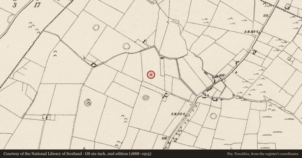 Ordnance Survey six-inch map, 2nd edition (1888–1915) covering the location of Barrow - mound barrow, Castlewaller, County Tipperary North, with a pin at the register's coordinates