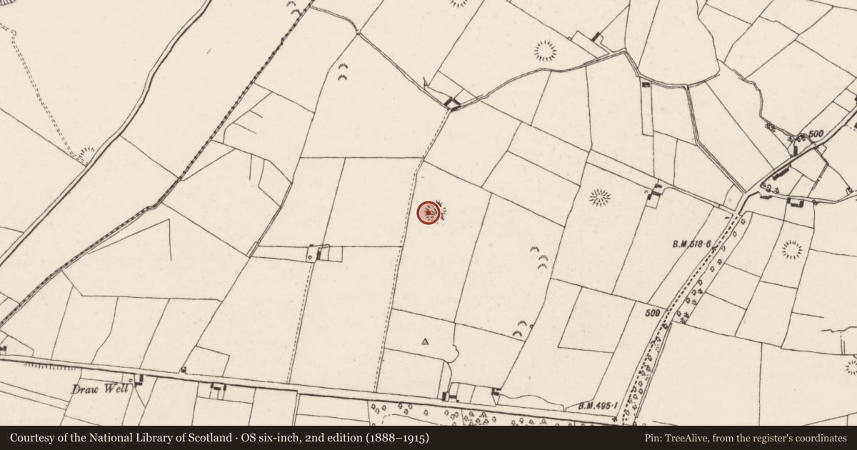 Ordnance Survey six-inch map, 2nd edition (1888–1915) covering the location of Enclosure, Castlewaller, County Tipperary North, with a pin at the register's coordinates