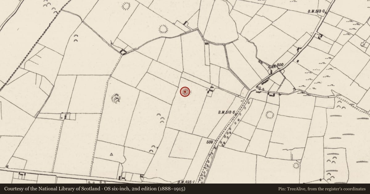 Ordnance Survey six-inch map, 2nd edition (1888–1915) covering the location of Ringfort - rath, Castlewaller, County Tipperary North, with a pin at the register's coordinates