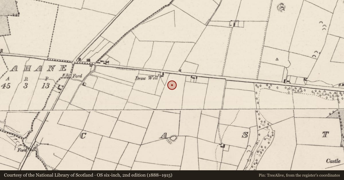 Ordnance Survey six-inch map, 2nd edition (1888–1915) covering the location of Souterrain, Castlewaller, County Tipperary North, with a pin at the register's coordinates
