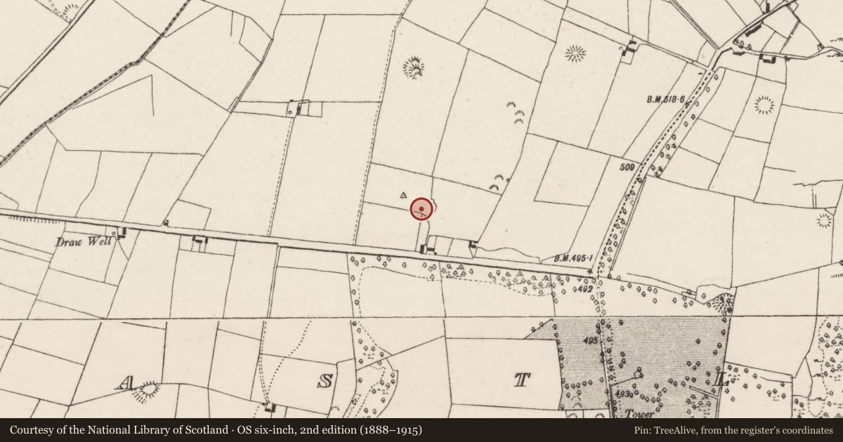 Ordnance Survey six-inch map, 2nd edition (1888–1915) covering the location of Kiln - lime, Castlewaller, County Tipperary North, with a pin at the register's coordinates