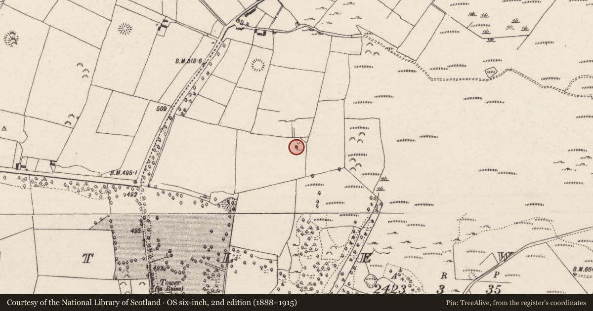Ordnance Survey six-inch map, 2nd edition (1888–1915) covering the location of Ringfort - rath, Castlewaller, County Tipperary North, with a pin at the register's coordinates