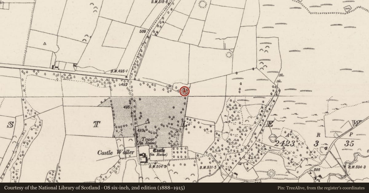 Ordnance Survey six-inch map, 2nd edition (1888–1915) covering the location of Ringfort - rath, Castlewaller, County Tipperary North, with a pin at the register's coordinates