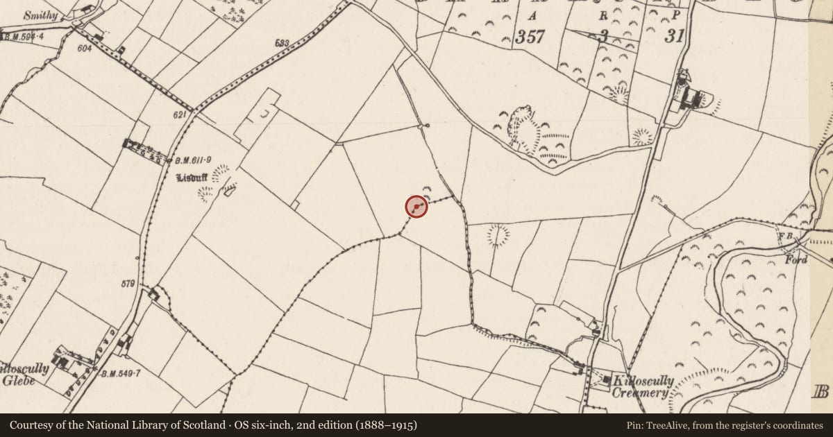 Ordnance Survey six-inch map, 2nd edition (1888–1915) covering the location of Road - road/trackway, Garraunbeg, Rossaguile (Killoscully Par.), County Tipperary North, with a pin at the register's coordinates