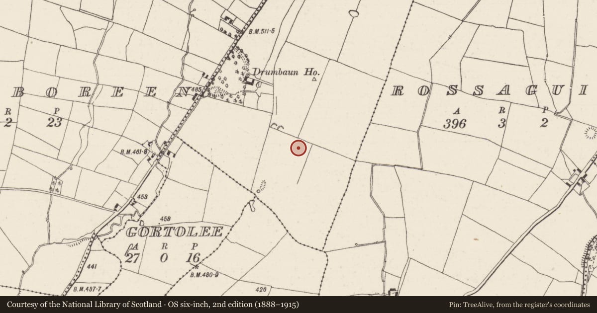 Ordnance Survey six-inch map, 2nd edition (1888–1915) covering the location of Road - road/trackway, County Tipperary North, with a pin at the register's coordinates