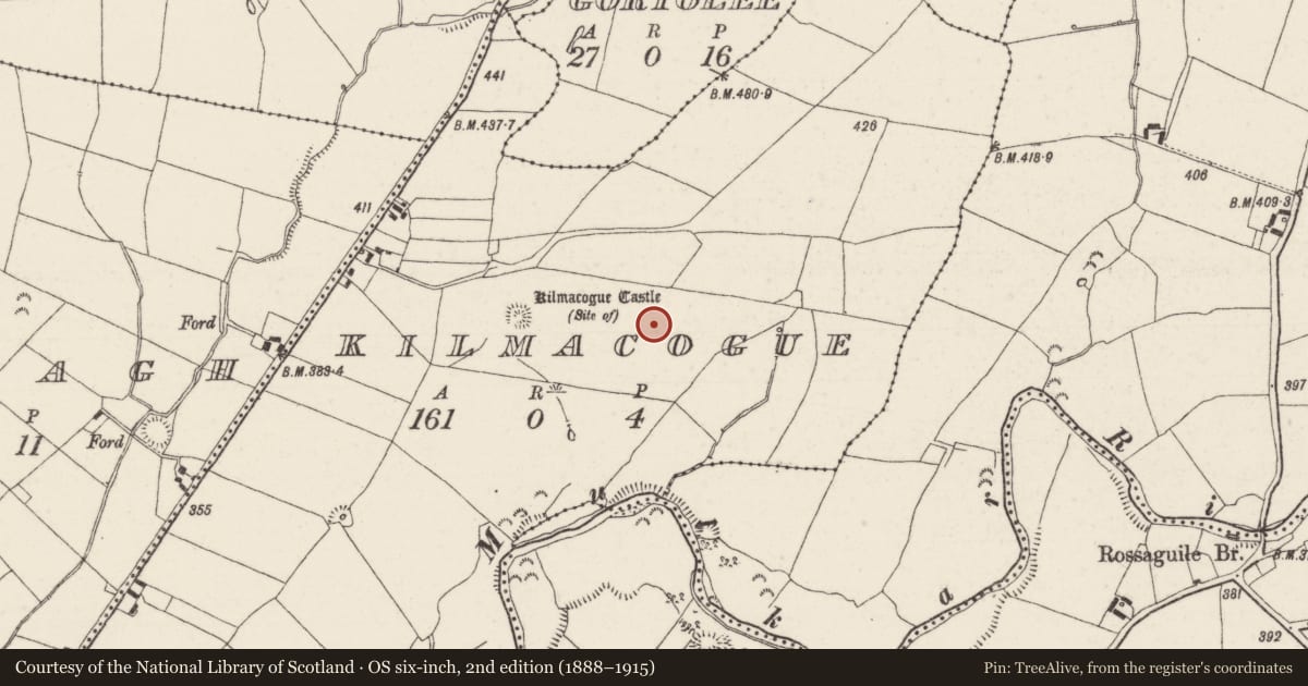Ordnance Survey six-inch map, 2nd edition (1888–1915) covering the location of Ring-ditch, Kilmacogue, County Tipperary North, with a pin at the register's coordinates