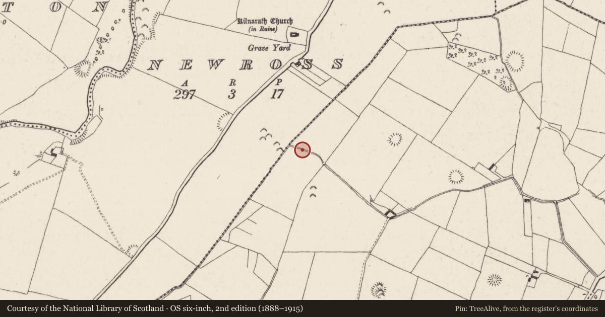 Ordnance Survey six-inch map, 2nd edition (1888–1915) covering the location of Barrow - unclassified, Castlewaller, County Tipperary North, with a pin at the register's coordinates