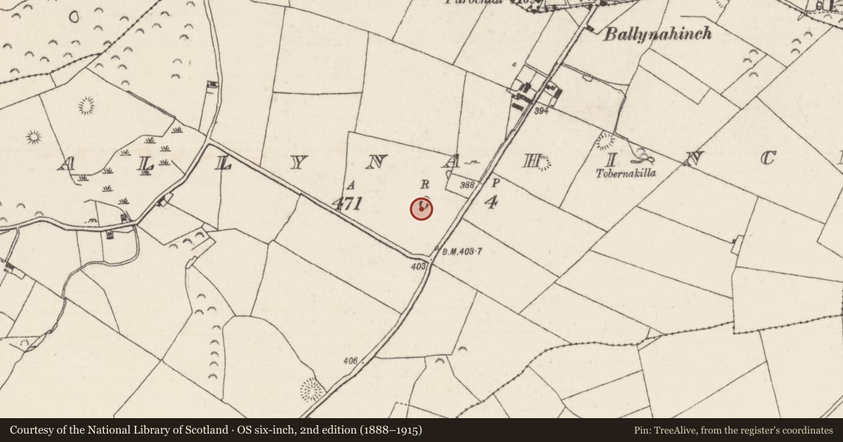 Ordnance Survey six-inch map, 2nd edition (1888–1915) covering the location of Earthwork, Ballynahinch (Kilcomenty Par.), County Tipperary North, with a pin at the register's coordinates