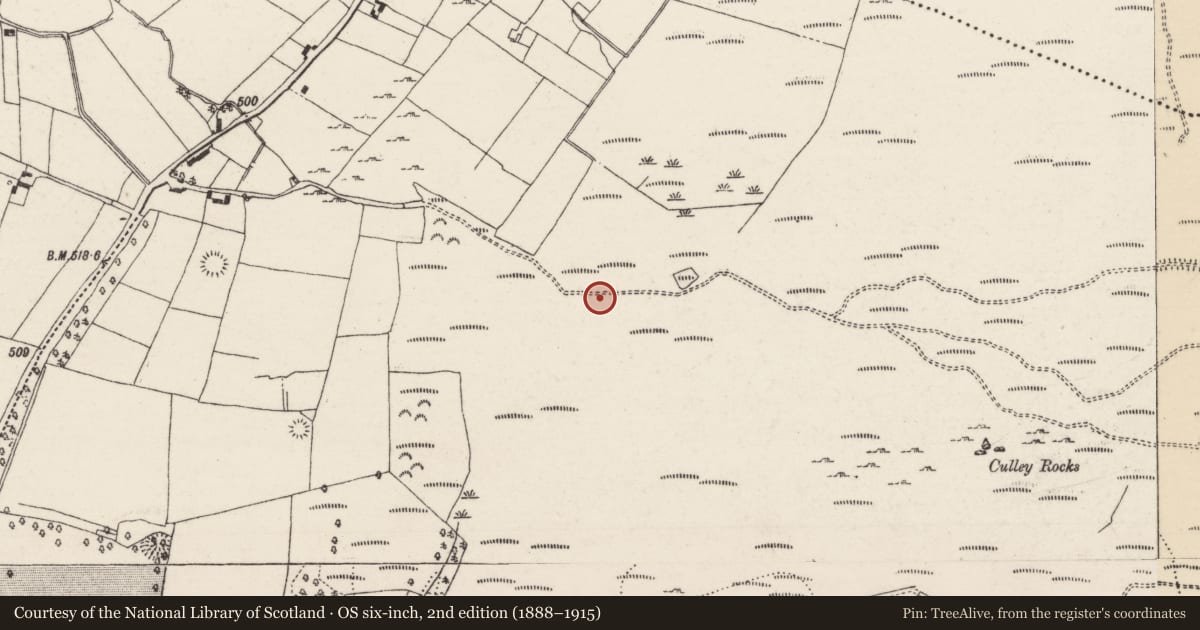 Ordnance Survey six-inch map, 2nd edition (1888–1915) covering the location of Sweathouse, Castlewaller, County Tipperary North, with a pin at the register's coordinates