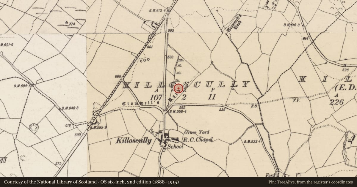 Ordnance Survey six-inch map, 2nd edition (1888–1915) covering the location of Road - road/trackway, Killoscully, County Tipperary North, with a pin at the register's coordinates