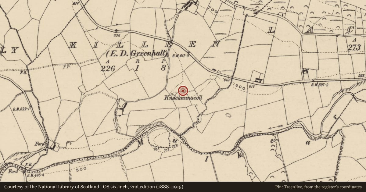 Ordnance Survey six-inch map, 2nd edition (1888–1915) covering the location of Barrow - bowl-barrow, Killeen (Killoscully Par.), County Tipperary North, with a pin at the register's coordinates