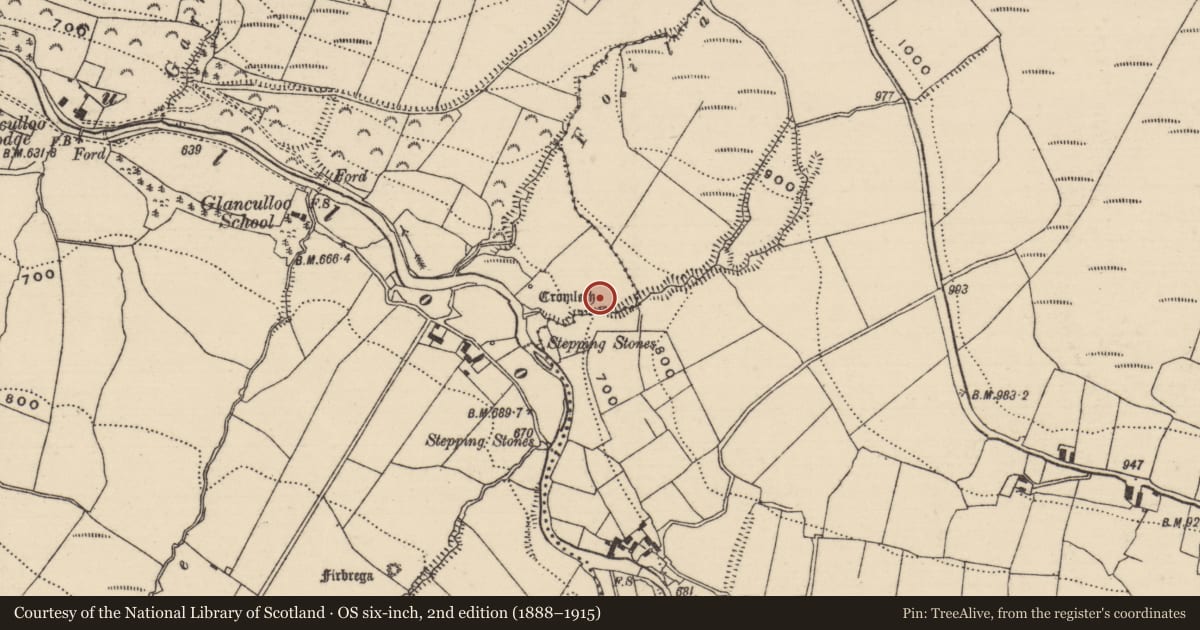 Ordnance Survey six-inch map, 2nd edition (1888–1915) covering the location of Megalithic structure, Bauraglanna, Lackabrack (Killoscully Par.), County Tipperary North, with a pin at the register's coordinates