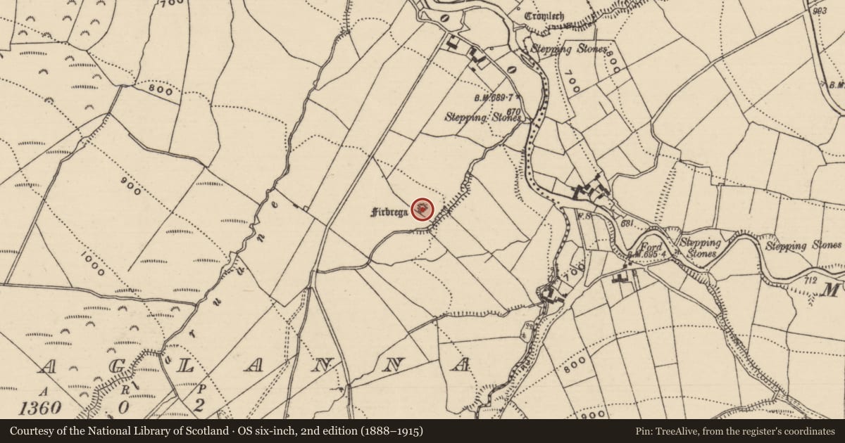 Ordnance Survey six-inch map, 2nd edition (1888–1915) covering the location of Stone circle, Bauraglanna, County Tipperary North, with a pin at the register's coordinates