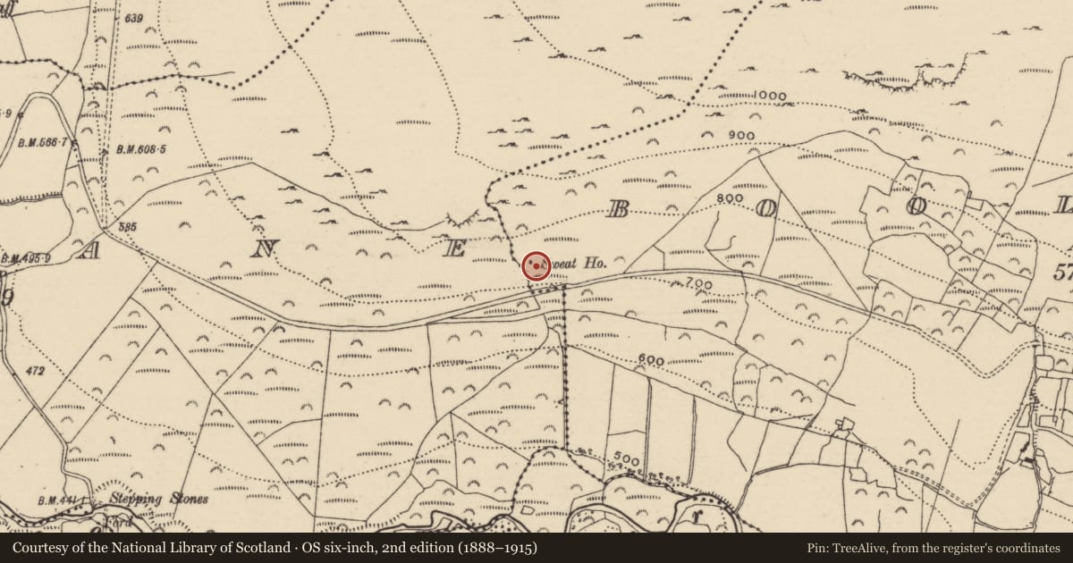 Ordnance Survey six-inch map, 2nd edition (1888–1915) covering the location of Sweathouse, Boolatin, County Tipperary North, with a pin at the register's coordinates
