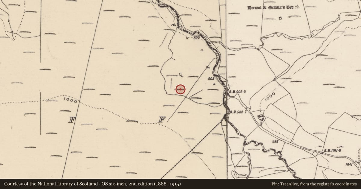 Ordnance Survey six-inch map, 2nd edition (1888–1915) covering the location of Standing stone, Foilduff, County Tipperary North, with a pin at the register's coordinates