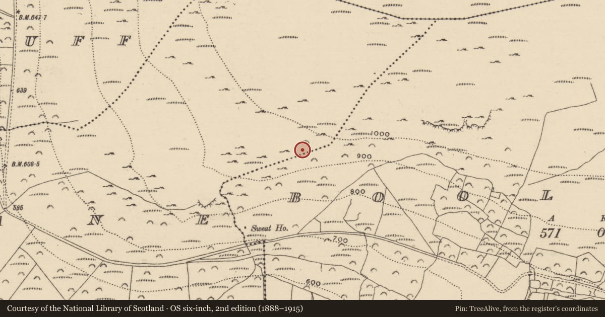Ordnance Survey six-inch map, 2nd edition (1888–1915) covering the location of Mass-rock, Doonane, County Tipperary North, with a pin at the register's coordinates