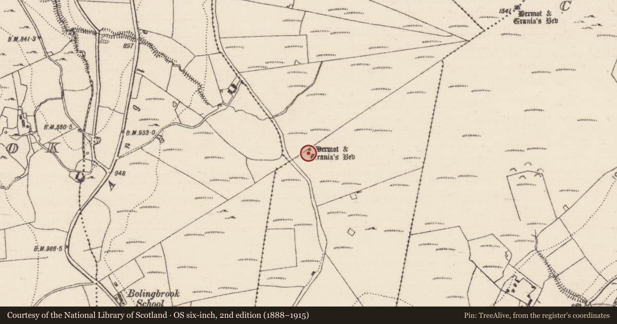 Ordnance Survey six-inch map, 2nd edition (1888–1915) covering the location of Megalithic tomb - wedge tomb, Foilnamuck, County Tipperary North, with a pin at the register's coordinates