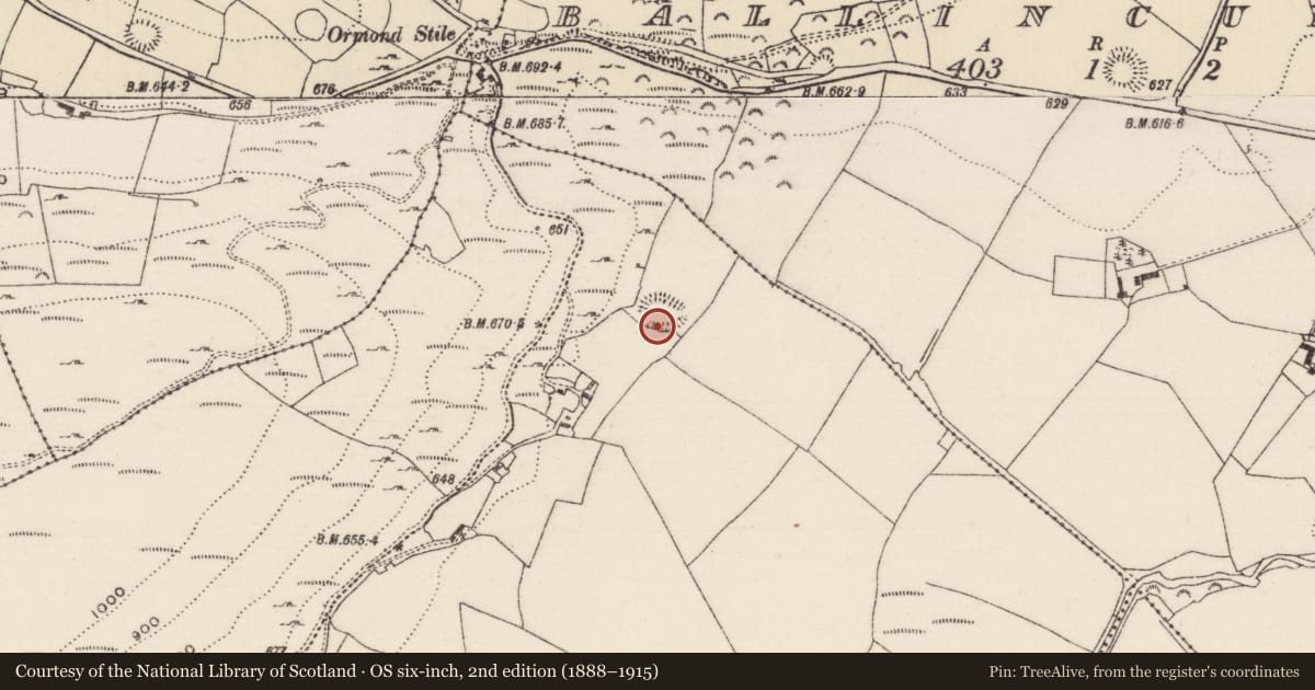 Ordnance Survey six-inch map, 2nd edition (1888–1915) covering the location of Ringfort - rath, Cooneen (Dolla Par.), County Tipperary North, with a pin at the register's coordinates