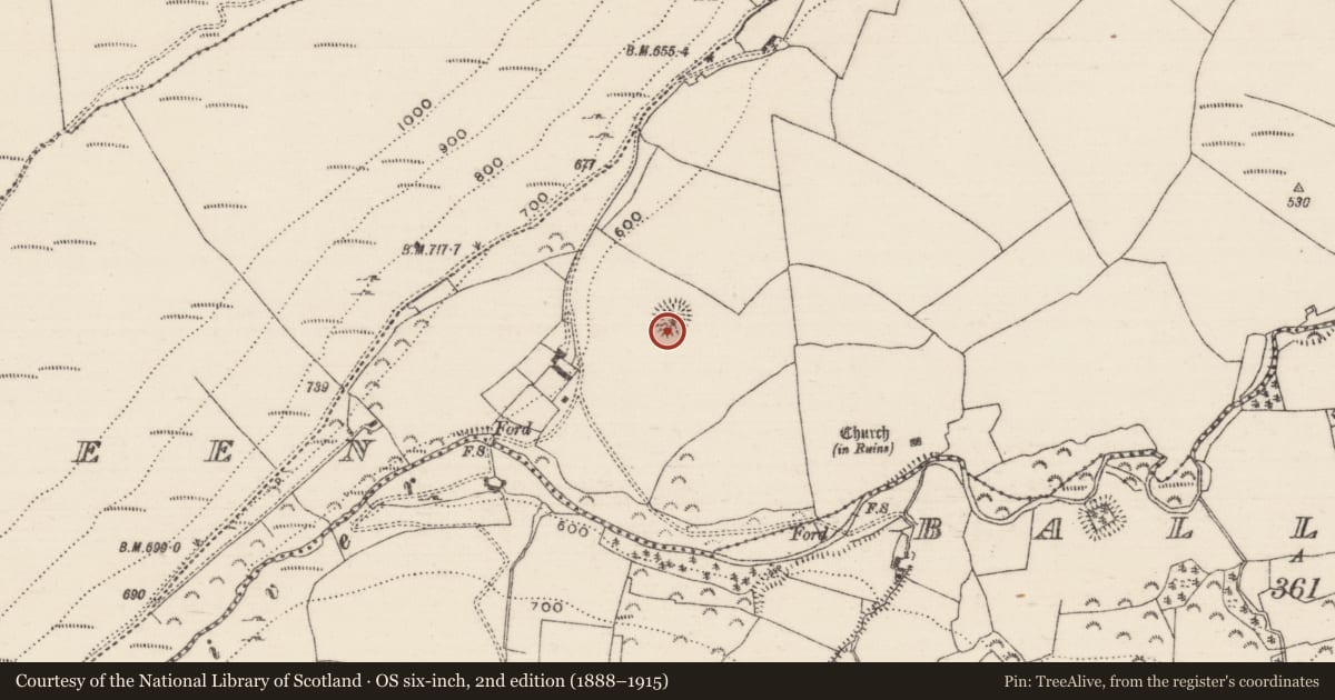 Ordnance Survey six-inch map, 2nd edition (1888–1915) covering the location of Ringfort - rath, Cooneen (Dolla Par.), County Tipperary North, with a pin at the register's coordinates
