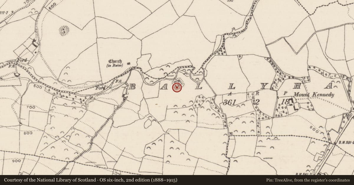 Ordnance Survey six-inch map, 2nd edition (1888–1915) covering the location of Moated site, Ballyhane, County Tipperary North, with a pin at the register's coordinates