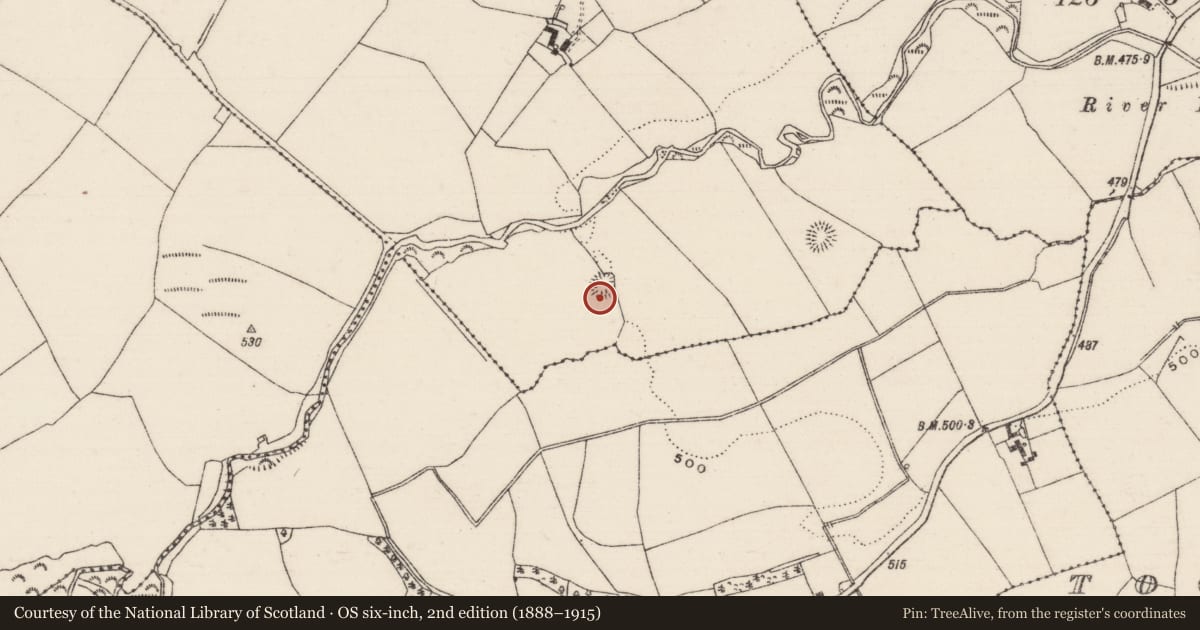 Ordnance Survey six-inch map, 2nd edition (1888–1915) covering the location of Ringfort - rath, Ballincurra, County Tipperary North, with a pin at the register's coordinates