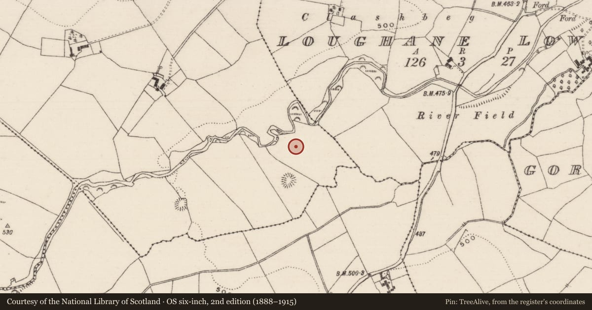 Ordnance Survey six-inch map, 2nd edition (1888–1915) covering the location of Standing stone, Ballincurra, County Tipperary North, with a pin at the register's coordinates
