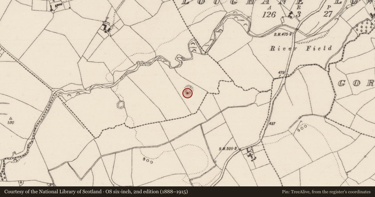 Ordnance Survey six-inch map, 2nd edition (1888–1915) covering the location of Ringfort - rath, Ballincurra, County Tipperary North, with a pin at the register's coordinates