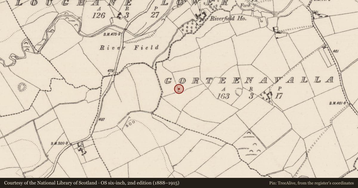 Ordnance Survey six-inch map, 2nd edition (1888–1915) covering the location of Ringfort - rath, Gorteenavalla, County Tipperary North, with a pin at the register's coordinates