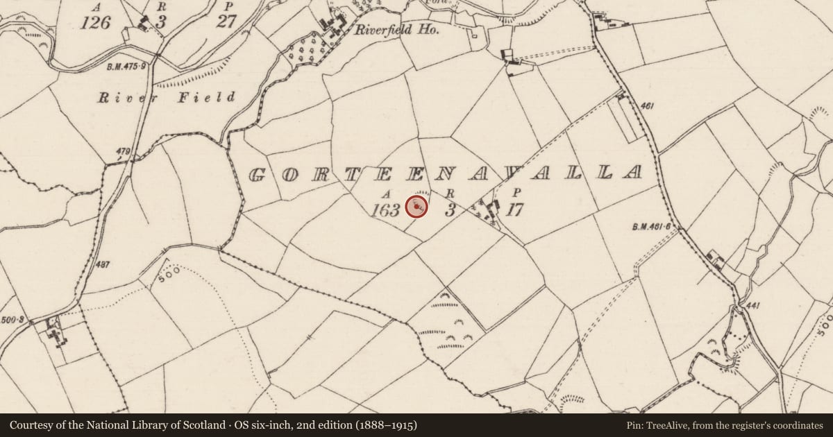 Ordnance Survey six-inch map, 2nd edition (1888–1915) covering the location of Ringfort - rath, Gorteenavalla, County Tipperary North, with a pin at the register's coordinates