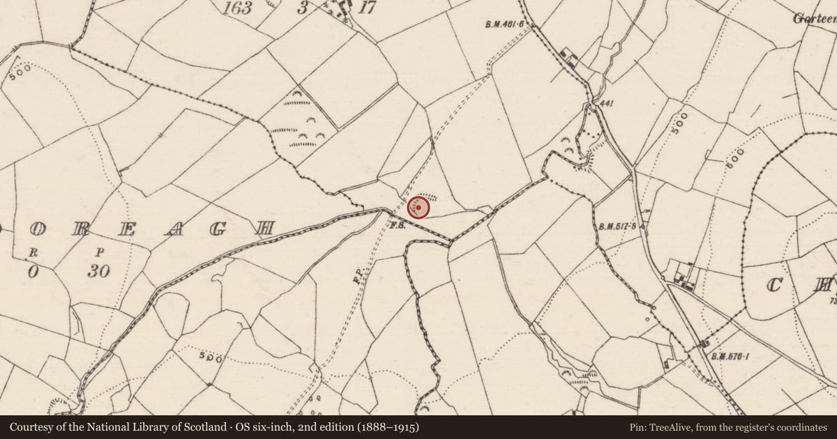 Ordnance Survey six-inch map, 2nd edition (1888–1915) covering the location of Ringfort - rath, Gorteenavalla, County Tipperary North, with a pin at the register's coordinates