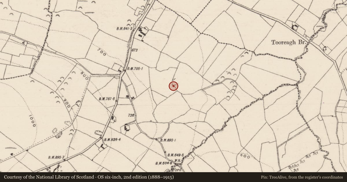 Ordnance Survey six-inch map, 2nd edition (1888–1915) covering the location of Moated site, Garryglass, County Tipperary North, with a pin at the register's coordinates