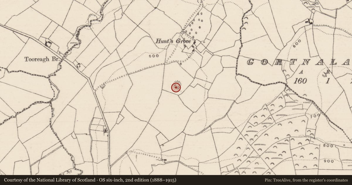 Ordnance Survey six-inch map, 2nd edition (1888–1915) covering the location of Ringfort - rath, Gortnagowna (Templederry Par.), County Tipperary North, with a pin at the register's coordinates