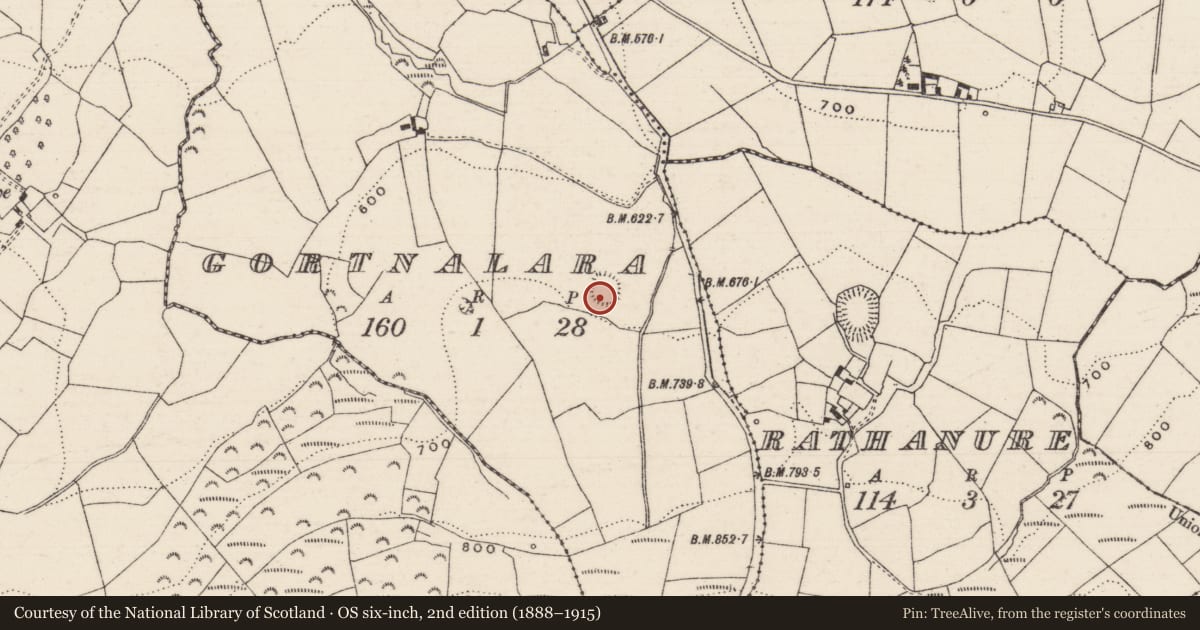Ordnance Survey six-inch map, 2nd edition (1888–1915) covering the location of Ringfort - rath, Gortnalara, County Tipperary North, with a pin at the register's coordinates