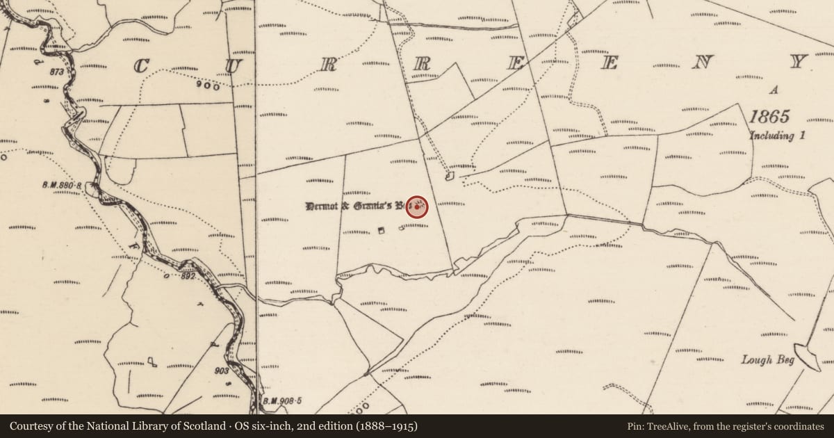 Ordnance Survey six-inch map, 2nd edition (1888–1915) covering the location of Megalithic tomb - wedge tomb, Curreeny Commons, County Tipperary North, with a pin at the register's coordinates